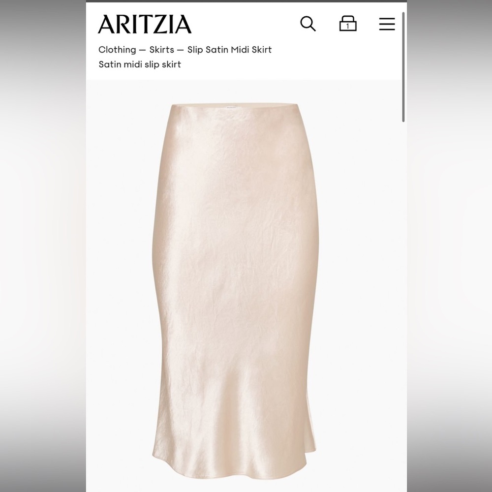 Aritzia Babaton Slip Midi Skirt